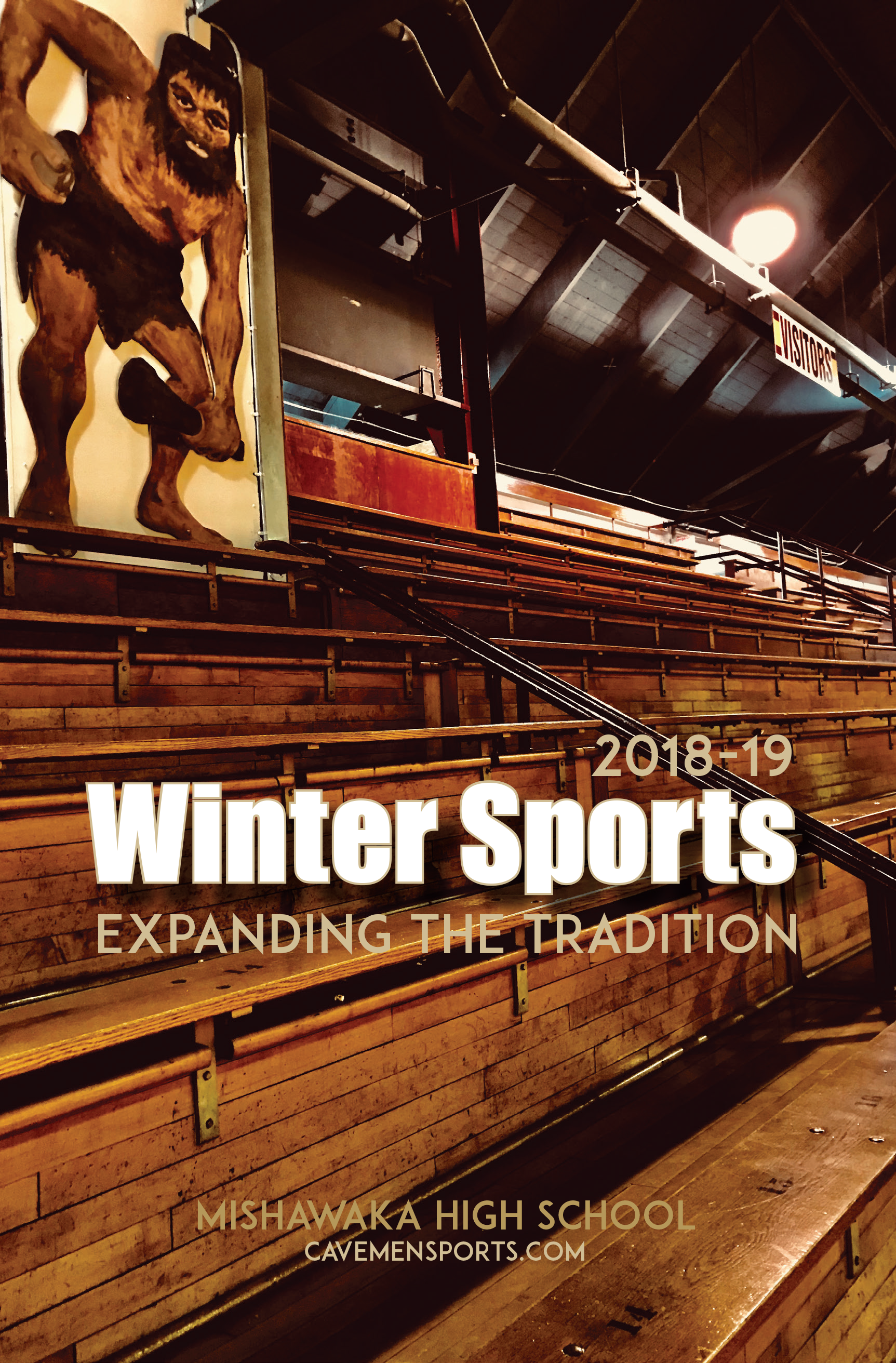 Winter sports cover 